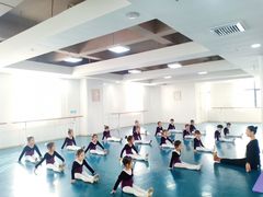 -西安小天鹅艺术团(金花路校区)