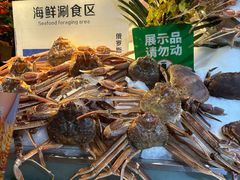 -亚马逊蒸汽活海鲜自助(LCM置汇旭辉广场店)