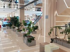 -凯德MALL(望京店)