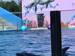 -渔岛海洋度假区