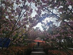 -观象山公园