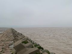-南汇嘴观海公园