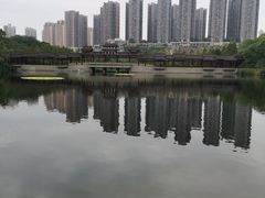 -重庆彩云湖湿地公园