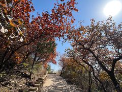 -北京西山国家森林公园