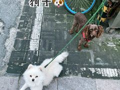 -皮市街大油火烧