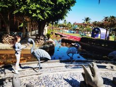 -三亚亚龙湾天域度假酒店