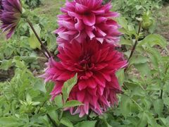 -咸阳湖景区-统一广场