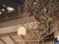 -桂满陇·海市蜃楼·黑金(国金店)