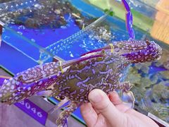 -四川小胡子海鲜(丁村万人海鲜广场店)