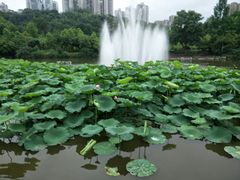 -龙头寺公园