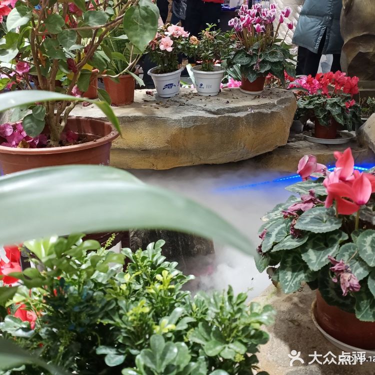 来南京游玩的人大部分都会选择去夫子庙