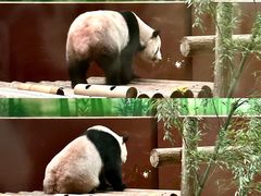 -杭州野生动物世界