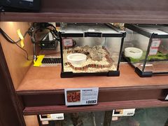 -帕帕拉兹宠物(亚洲旗舰店)