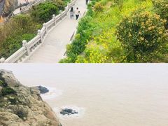 -普陀山风景区-佛顶山