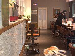 大堂-BOCATA 西班牙餐厅(三里屯店)