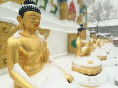 -护国法轮寺