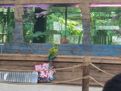 -南宫五洲植物乐园