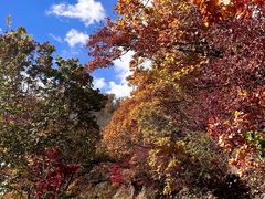 -天女山森林公园