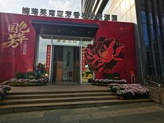 -花之城