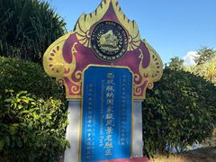 -西双版纳原始森林公园
