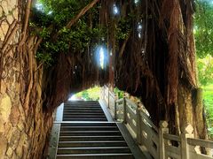-乌山风景区