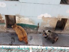 -青藏高原野生动物园