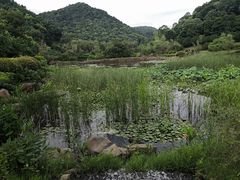 -桃花岭景区