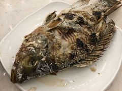 岩烧大罗非-吉源大排档·鱼生·海鲜(烧烤彩印厂店)