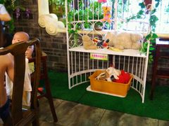 -红鼎坊·老成都火锅(新南门店)