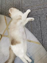 -元一肌肤管理中心