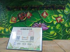 -上海大自然野生昆虫馆