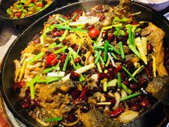 -老板恋上鱼(恒隆广场店)