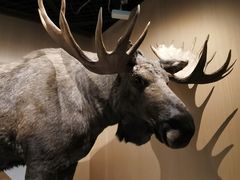 -陕西自然博物馆