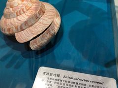 -青岛贝壳博物馆
