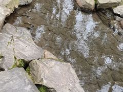 -兰亭风景区