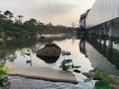 -罗红摄影艺术馆