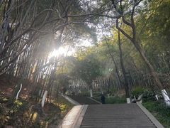-峙山公园