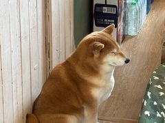 -小时光咖啡馆(开森度假森林店)