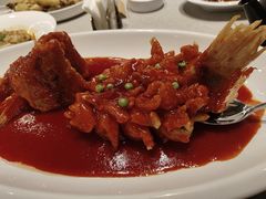 菊花彩虹斑-请晋·乔家大院(建外大街店)
