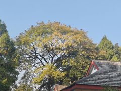 -桂林独秀峰王城景区