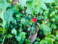 -Club Med地中海俱乐部·桂林度假村