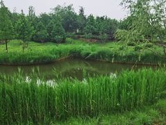 -中关村生命科学园