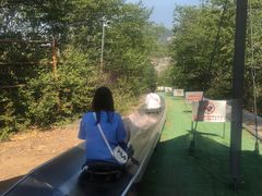 -富斯特索道