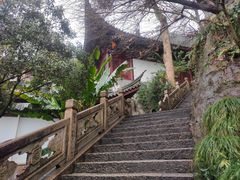 -韬光茶庵