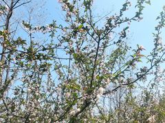 -前小桔亲子创意农场·草莓采摘·露营烧烤