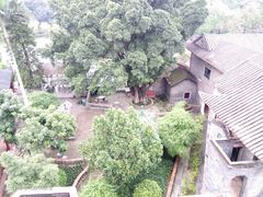 -东莞市可园博物馆