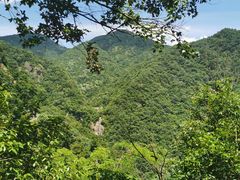 -东天目山风景区