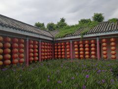 -玫瑰小镇