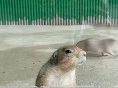 -杭州野生动物世界