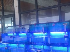 -老太太海鲜城(森林公园任家台店)